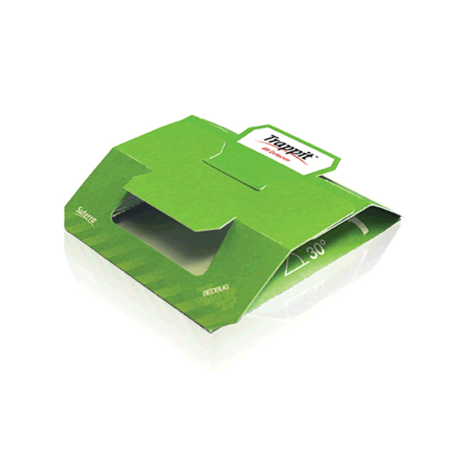 Bed bug deals detector